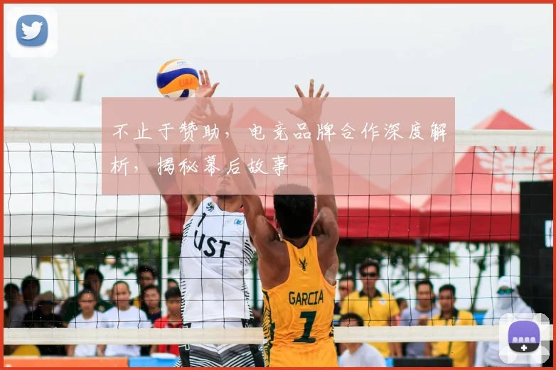 不止于赞助，电竞品牌合作深度解析，揭秘幕后故事