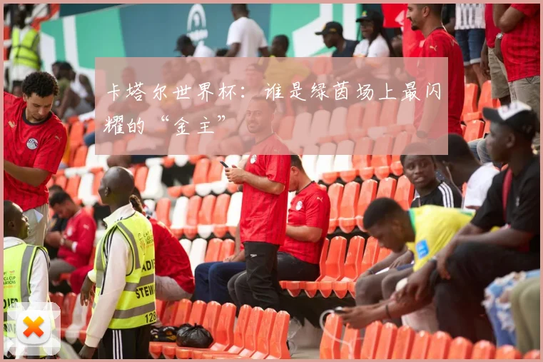 卡塔尔世界杯：谁是绿茵场上最闪耀的“金主”